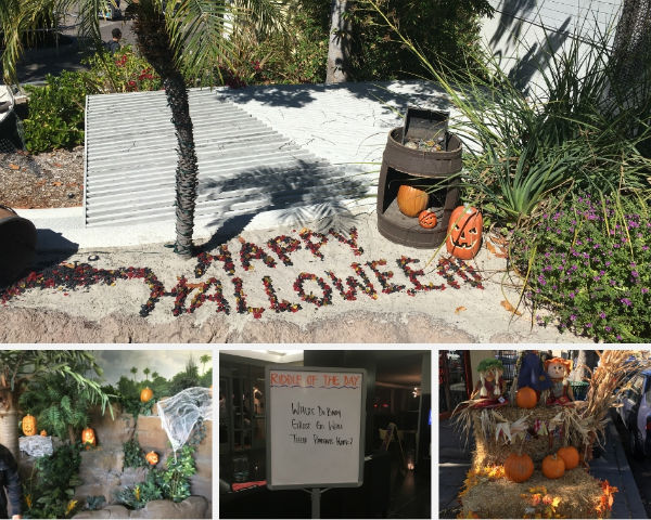 Halloween decorations we stumbled upon in San Diego, CA