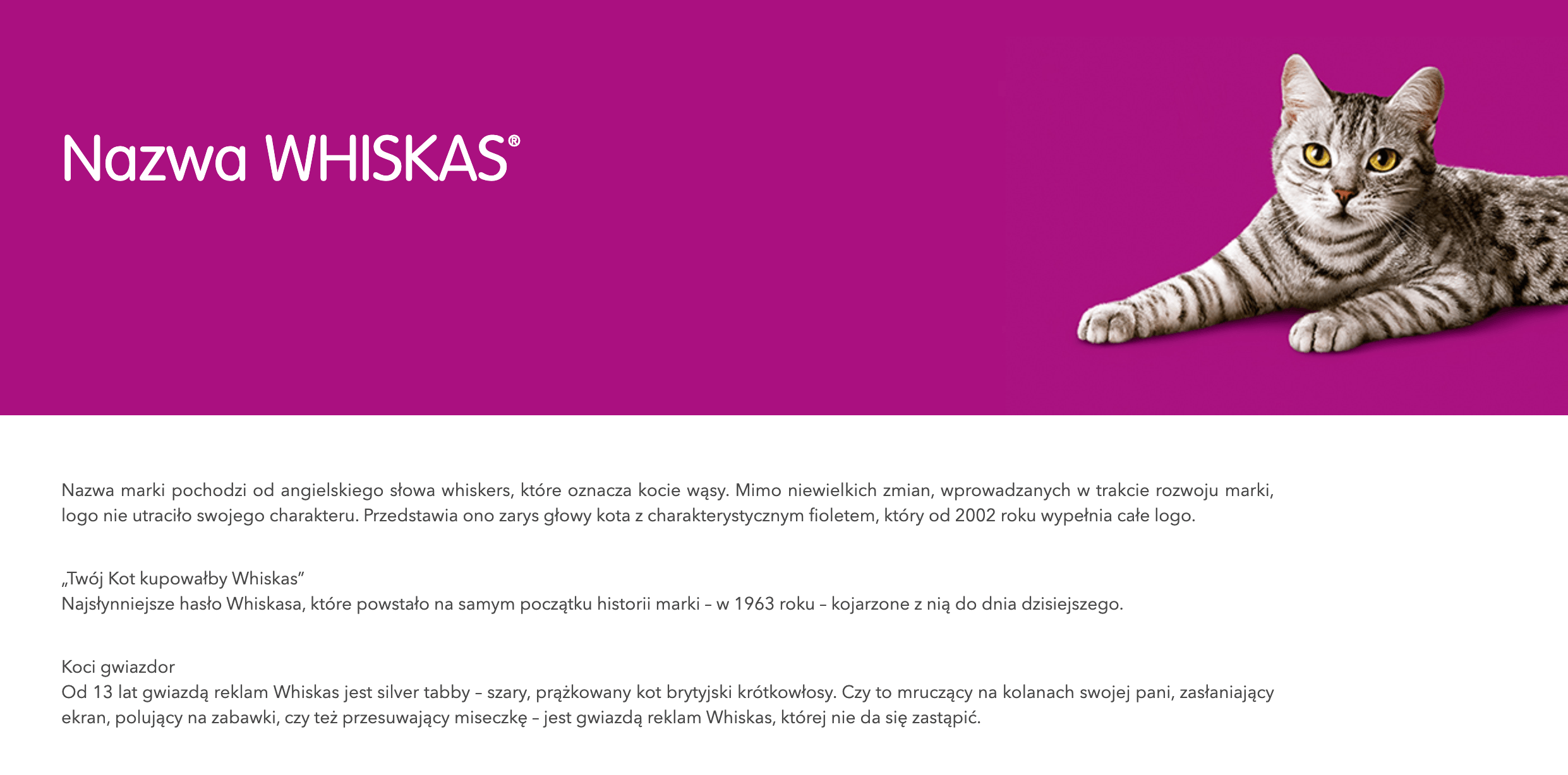 Jak stworzyć idealne hasło reklamowe? | Blog GetResponse