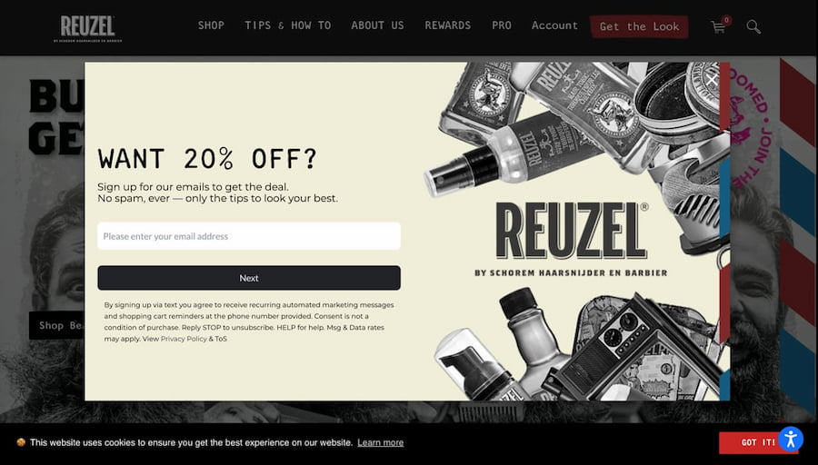 A pop-up form with a 20% discount incentive asking users to provide their valid email addresses.