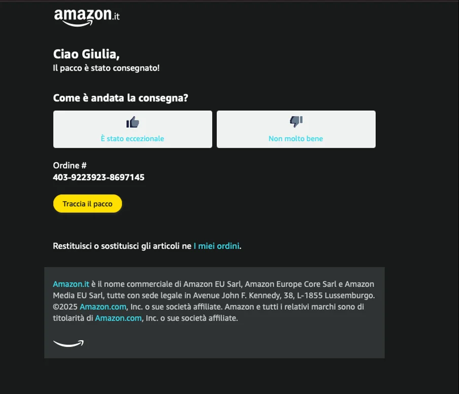 esempio email transazionale feedback