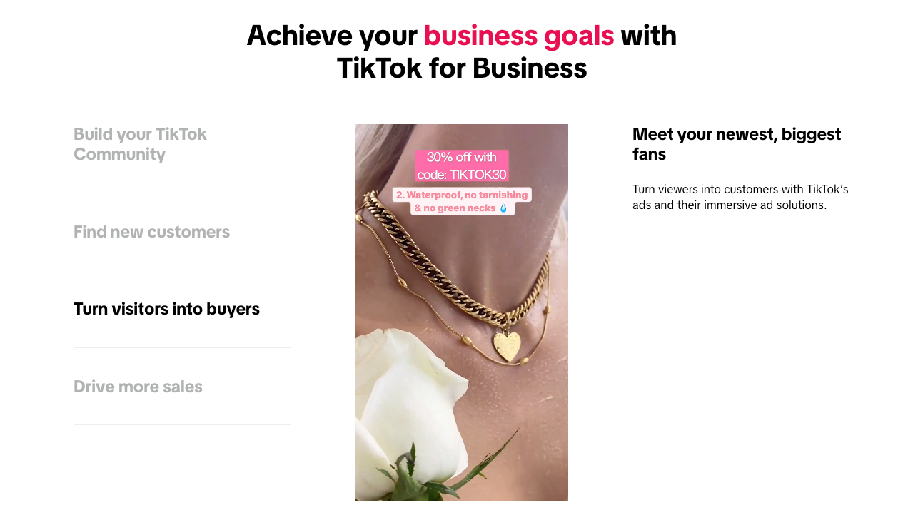 TikTok Business Account dashboard showing advanced analytics, ads manager access, and professional features that give businesses more control over their marketing campaigns and performance tracking