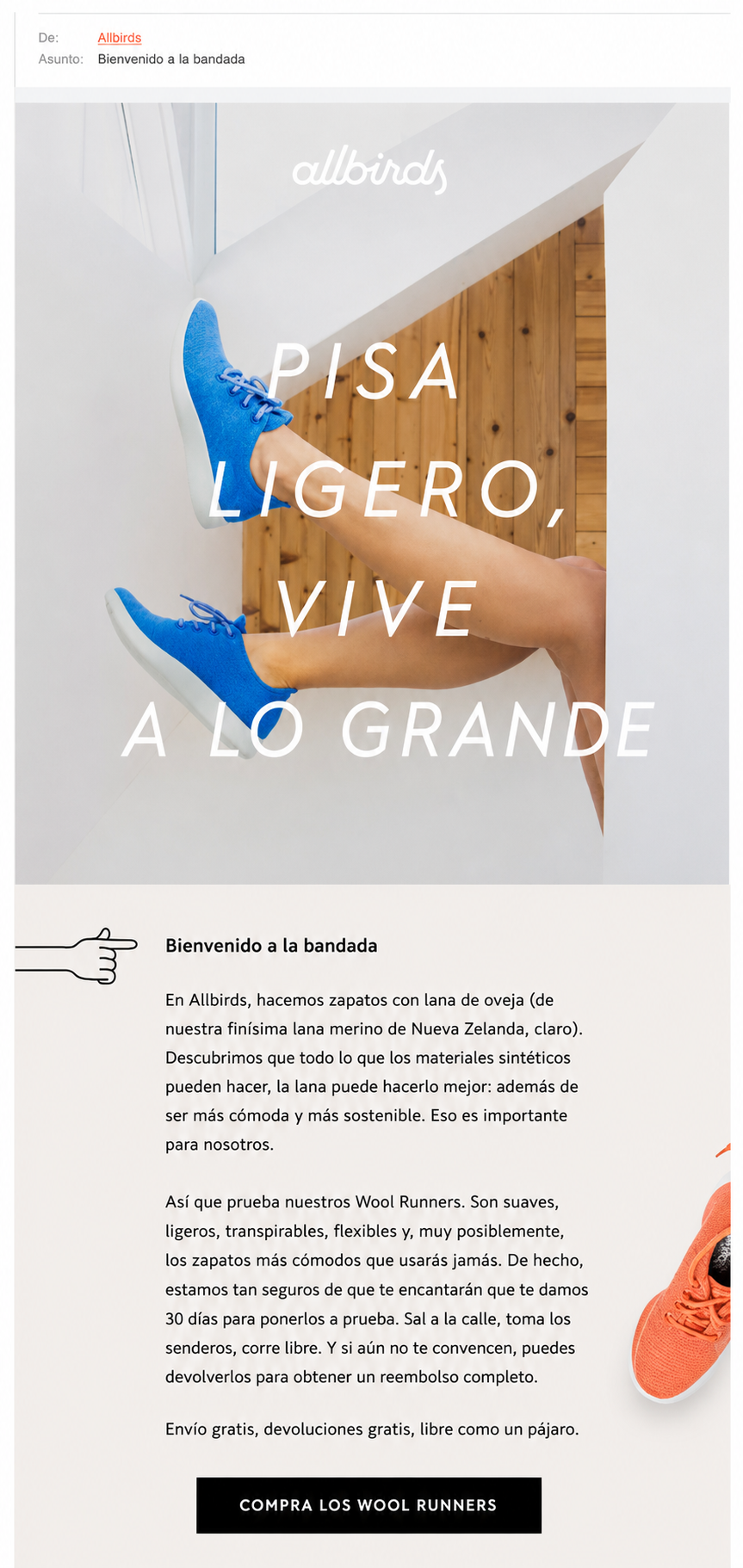 Allbirds abre de forma ingeniosa su correo electrónico con un saludo tipo “welcome to the flock”, que juega con el nombre de la marca.