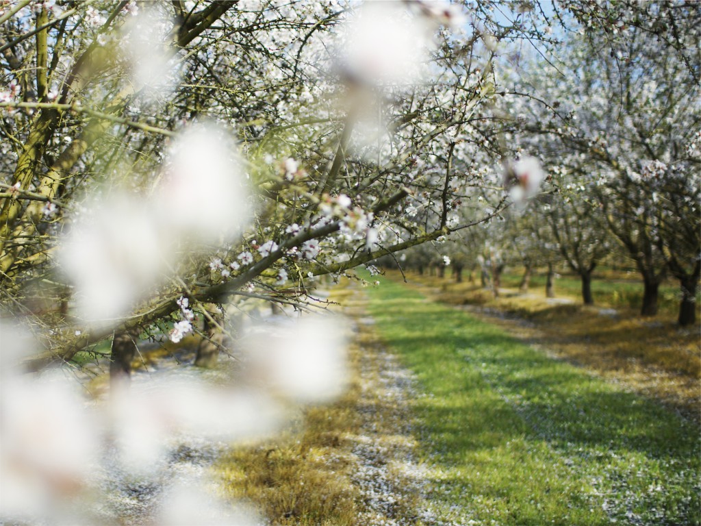 spring_cleaning-1024x768