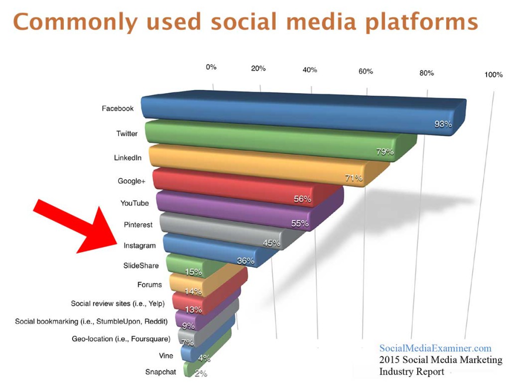 CommonlyUsedSocialMediaPlatforms2015-1024x769