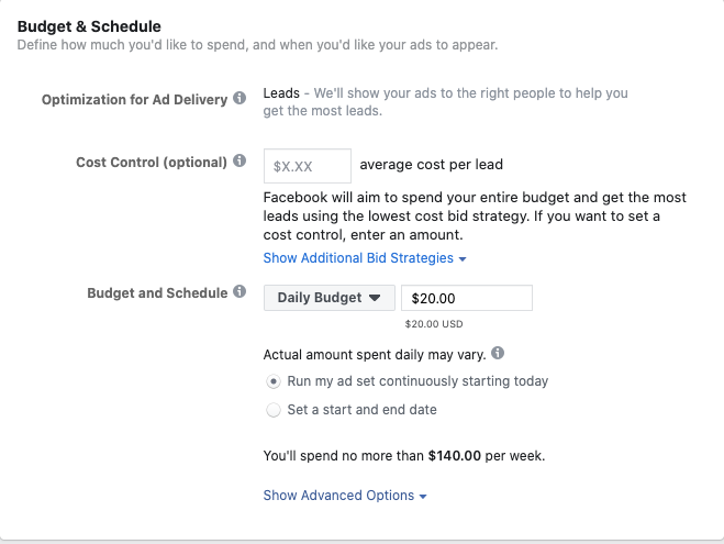 Facebook Lead Ads Budget and Schedule.