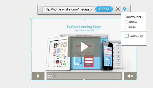 Landing Page Wistia Video einfügen.