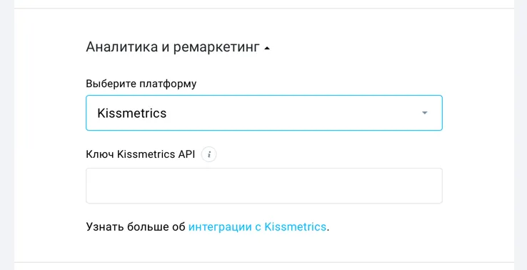 поле Kissmetrics в параметрах лендинга