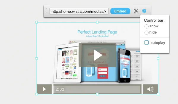 Wistia controls and playback options
