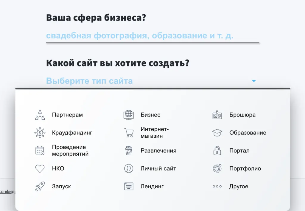 Выбор сферы бизнеса и типа сайта.