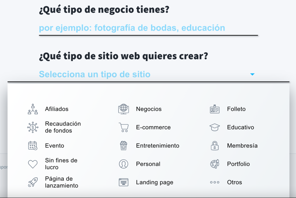 tipo de negocio que tiene y tipo de sitio web que quiere crear