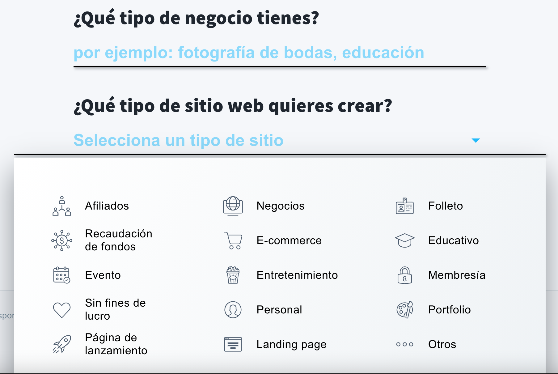 tipo de negocio que tiene y tipo de sitio web que quiere crear