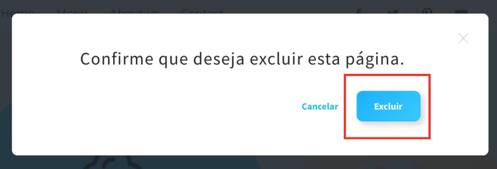 confirmar para excluir página