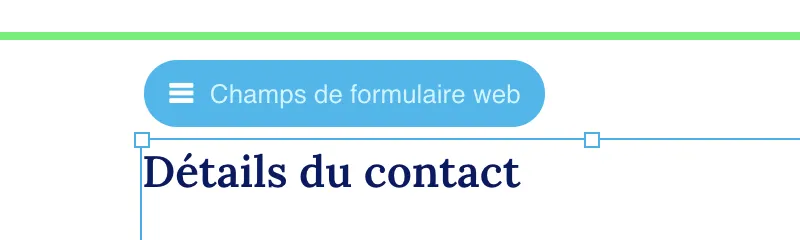 Champs du formulaire Web