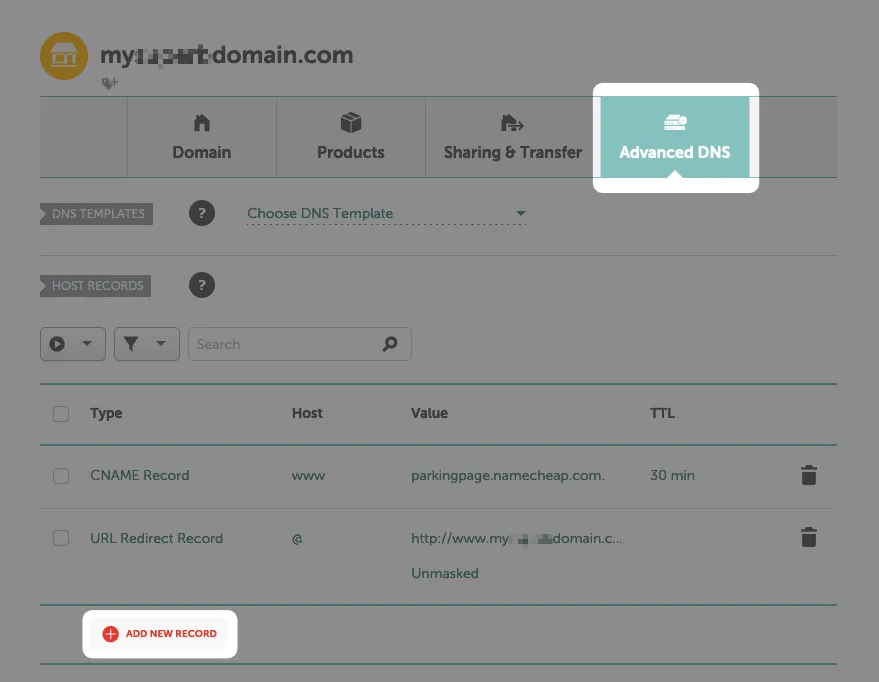 Adding new DNS record in Namecheap