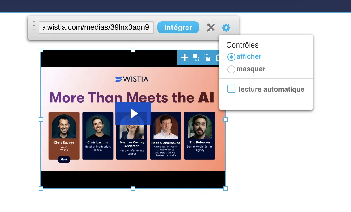 Des contrôles supplémentaires Wistia