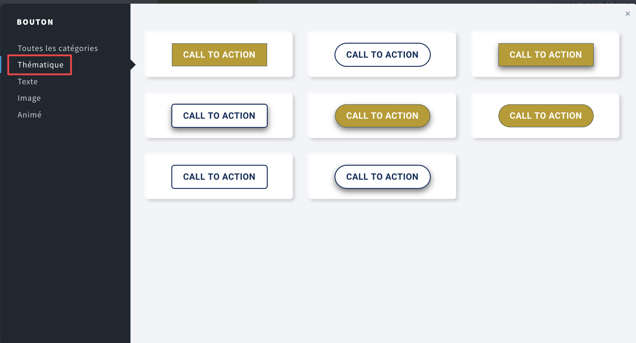 Type de bouton - Thématique mise en évidence