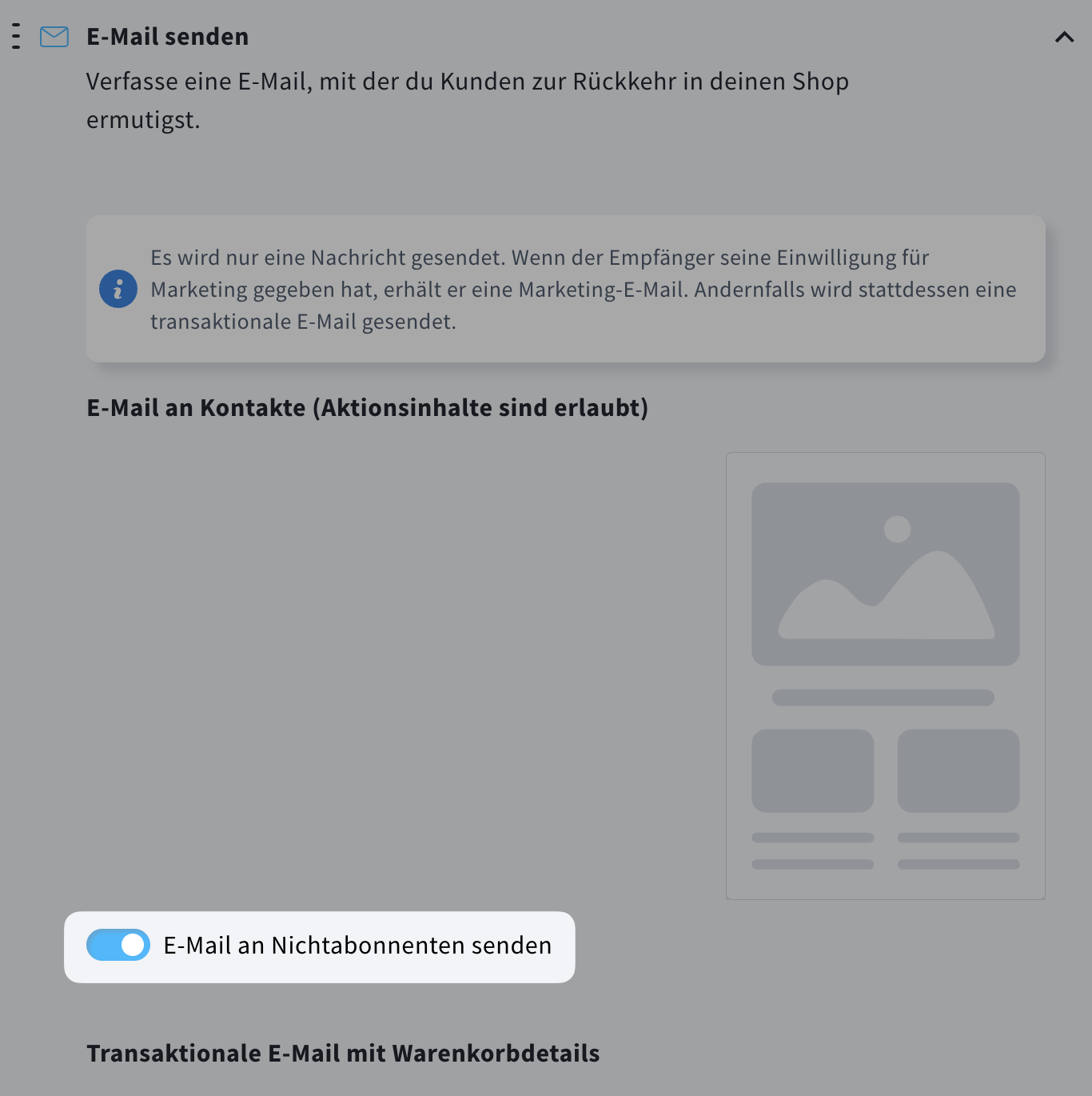 Ein Abschnitt der E-Commerce-Kampagneneinstellungen mit aktiviertem Schalter Email an Nichtabonnenten senden