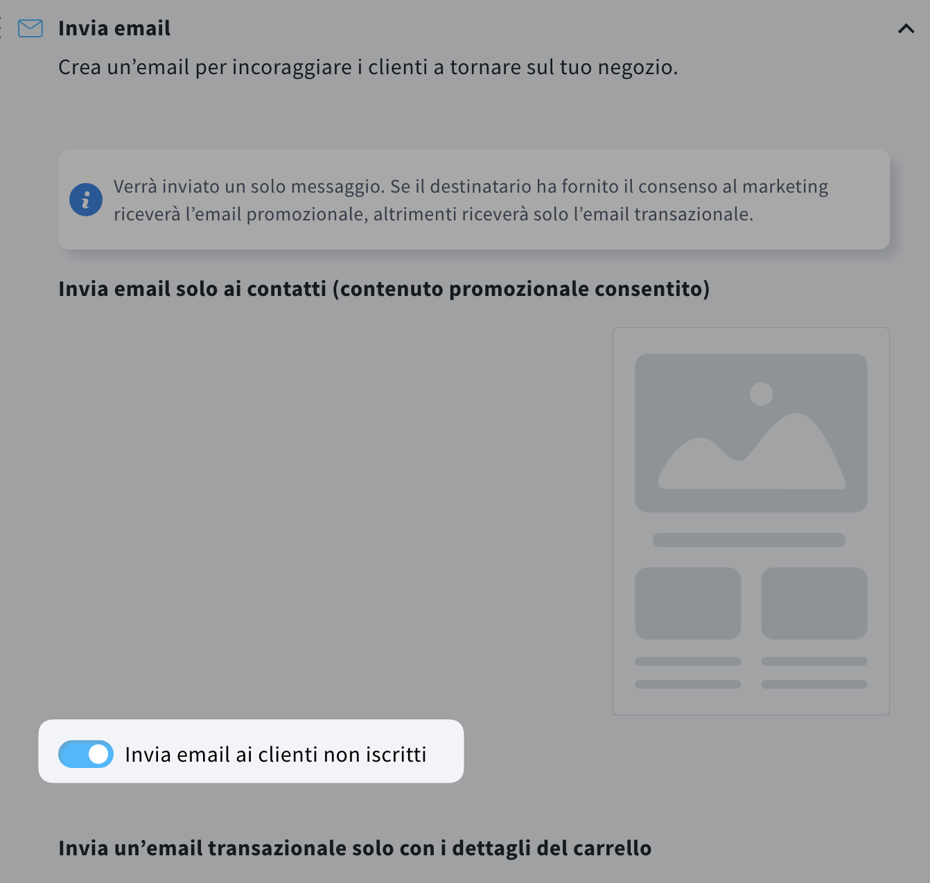 Una sezione delle impostazioni della campagna e-commerce con l’opzione "Invia email ai clienti non iscritti" attivata.