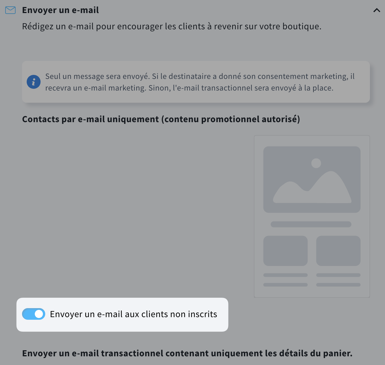 Une section des paramètres de la campagne e-commerce avec l’option «Envoyer un e-mail aux clients non inscrits » activée.