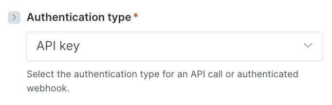 Choose API Key as your authentication method.