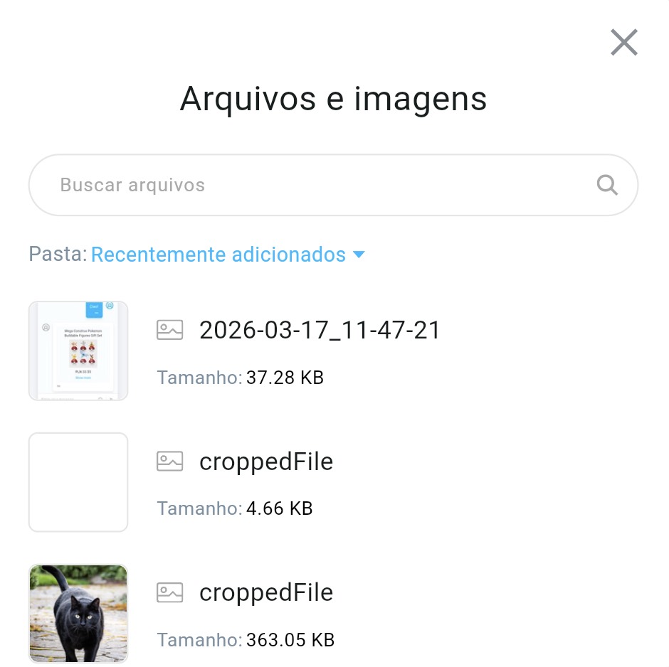 A janela de ficheiros e imagens é apresentada.
