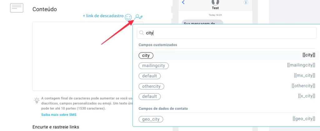 Personalização de campos personalizados.