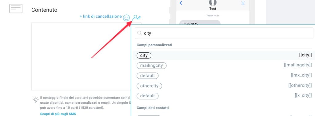 Personalizzazione dei campi personalizzati.