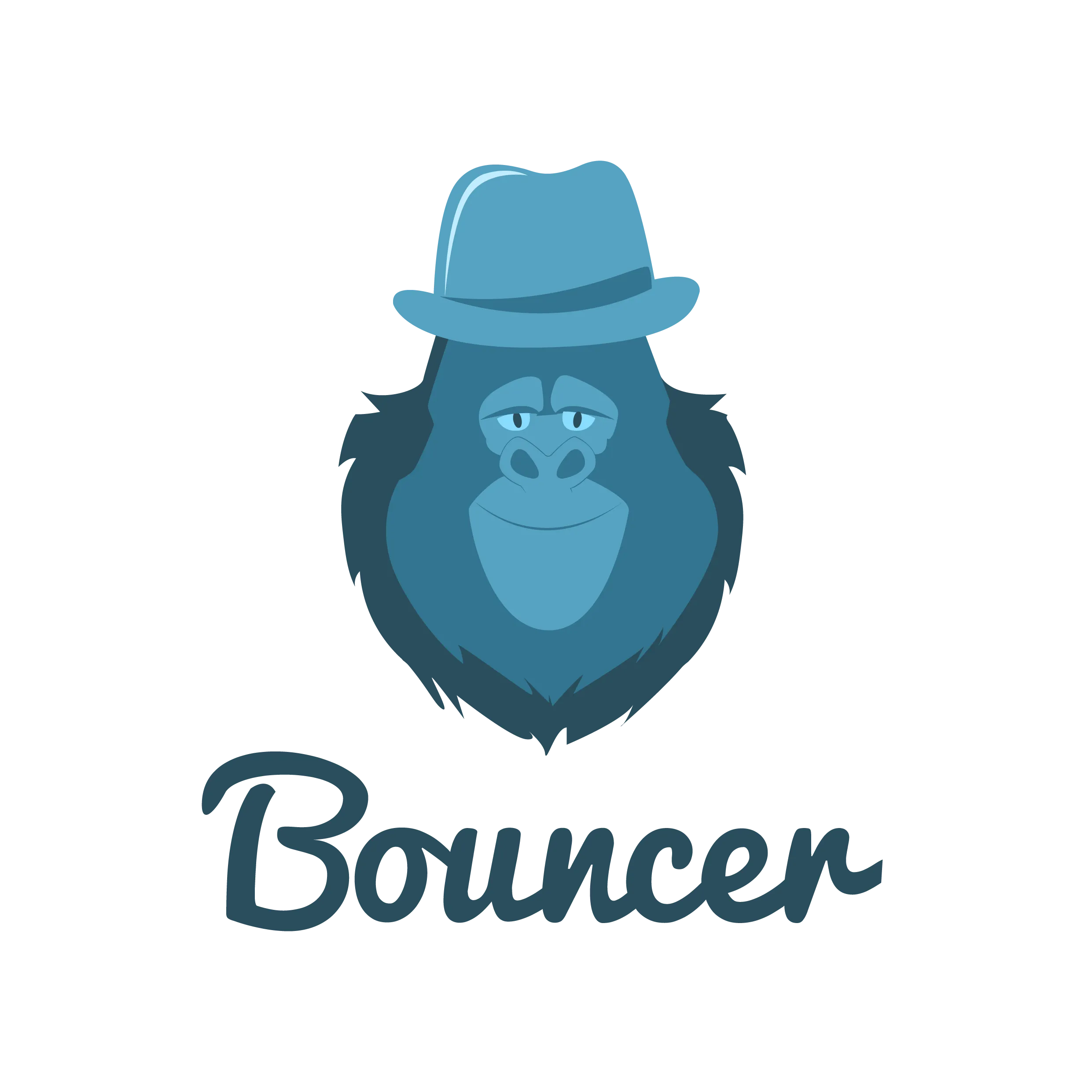 Bouncer