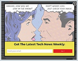 Rys. 3 - Formularz na stronie wyjścia – The Next Web